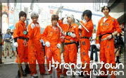J-Trends in Town by MBK Mainichi [Cherry Blossom]
