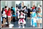 Cosplay Gallery - Thai-Japan Anime & Music Festival #5