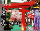 อัพรูปงาน Tanabata Festival Cosplay Contest