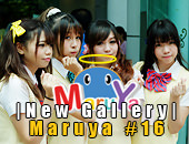 New Gallery | อัพรูปงาน Maruya #16