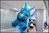 Cosplay Gallery - Circle Con #2