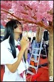 Cosplay Gallery - Japan Week x World Cosplay Summit Thailand 2025 Final