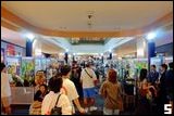 Cosplay Gallery - Thailand Toy Expo 2025